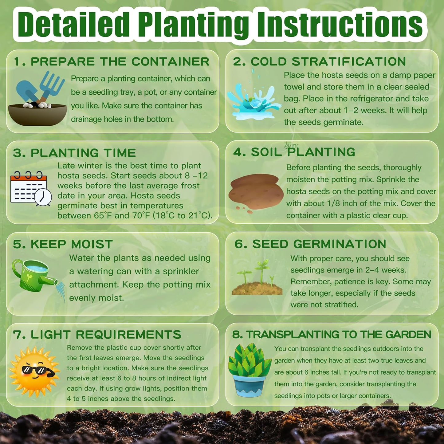 Hosta Seeds Perennial Grow Easily