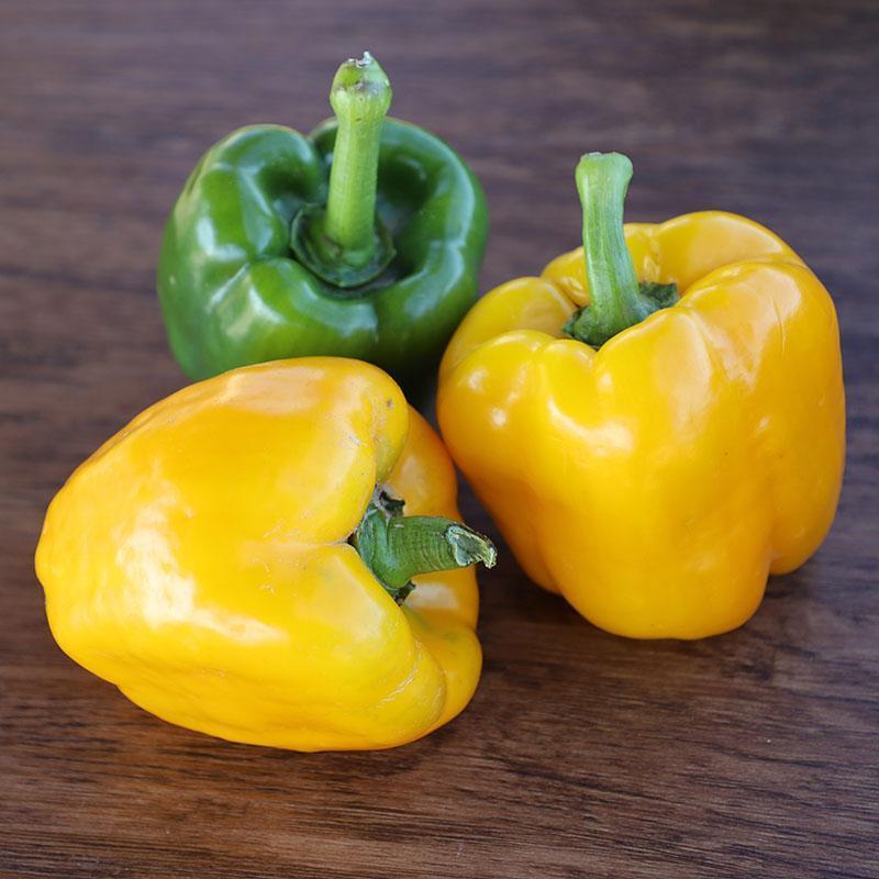 Pepper Deniro F1 Organic