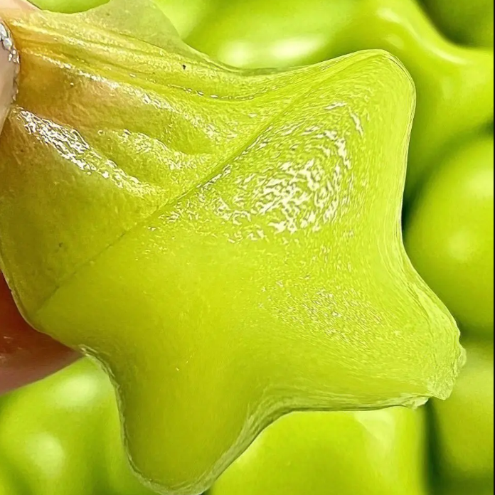 Winter Star Grape Seeds