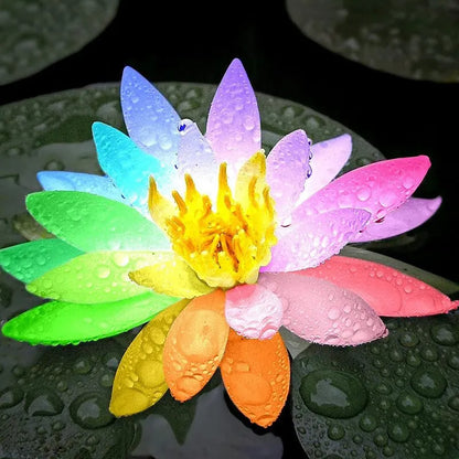 🌸[7 days germination]Last Day Up to 80% OFF💐The Sacred Bonsai Bowl Lotus Flower