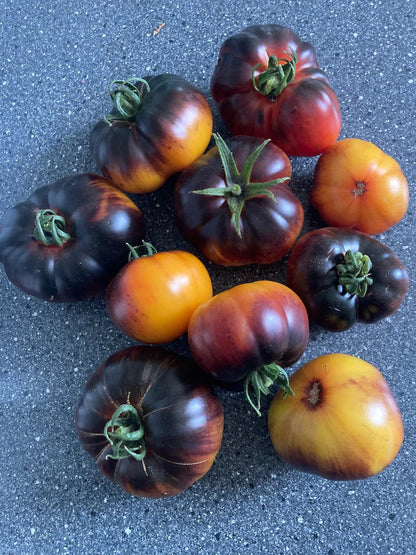 Lucid Gem Tomato Seeds Organic, Heirloom Tomatoes