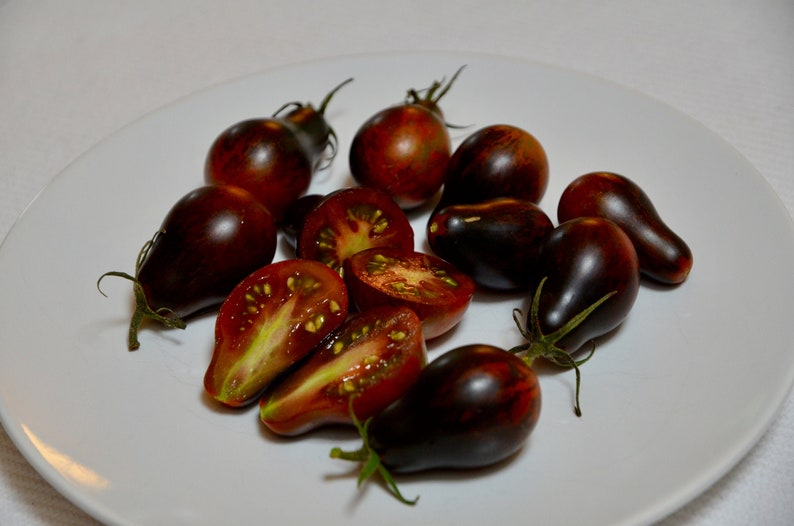 Blue Keyes Tomato Seeds • Dark Anthocyanin Pear Cherry • Open Pollinated • Modern Variety