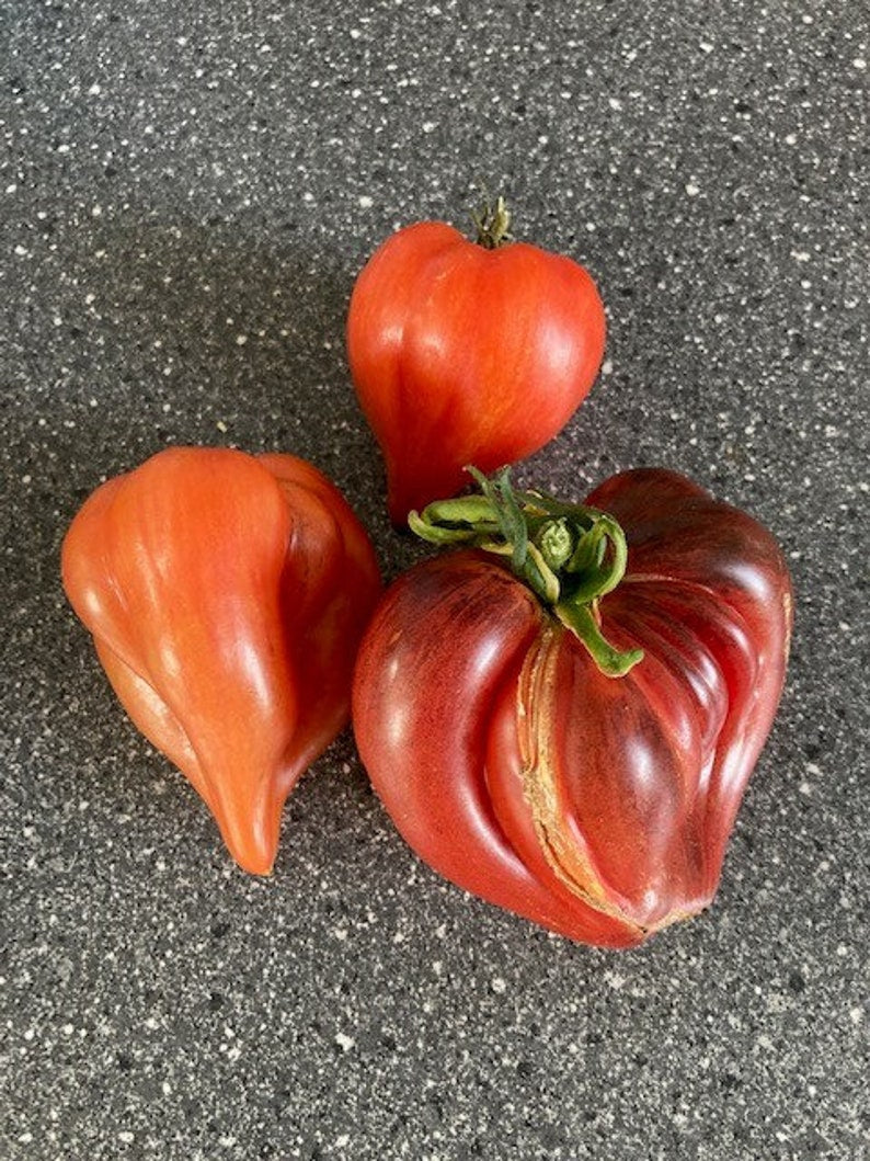 Crushed Heart Tomato Seeds  Organic Heirloom Tomatoes
