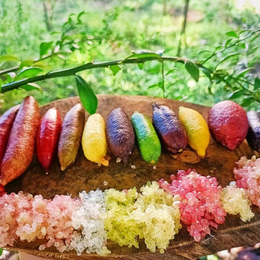 Finger Lime Seeds Lemon Caviar Seeds