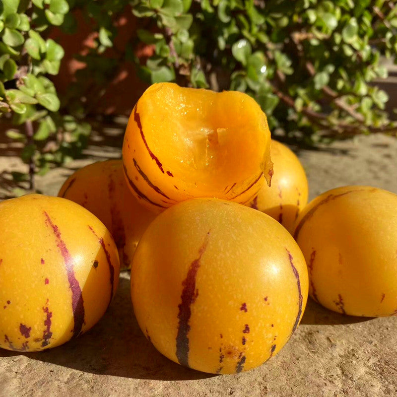 🍈Pepino Seeds Ginseng Fruit Seeds