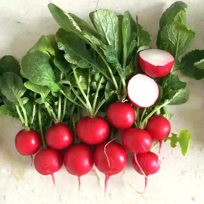 Radish Cherry Belle
