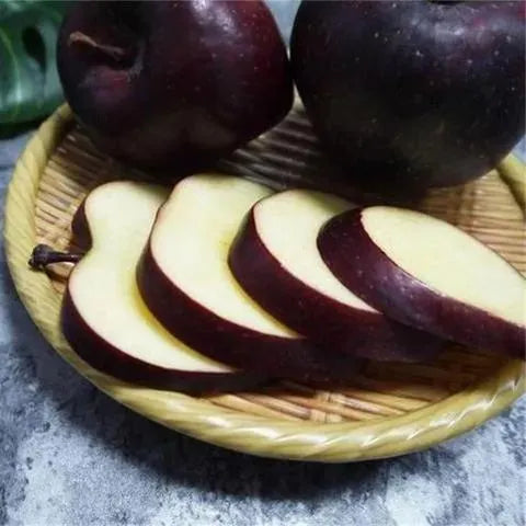 Rare Black Diamond Apple Seeds