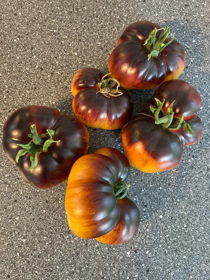 Lucid Gem Tomato Seeds Organic, Heirloom Tomatoes