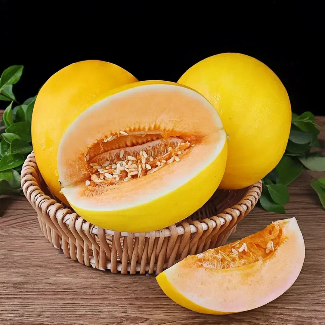 🍈Yellow River Honey Melon