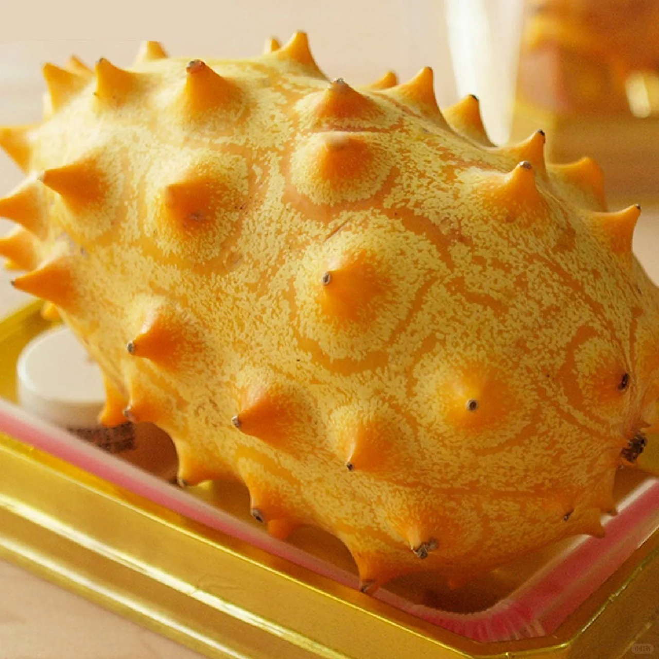 Fire Ginseng Fruit Seeds