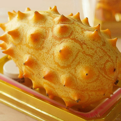 Fire Ginseng Fruit Seeds