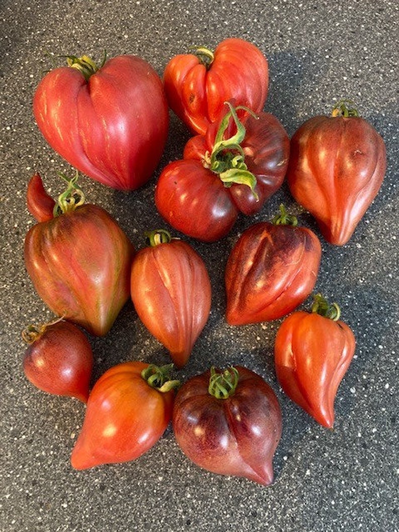 Crushed Heart Tomato Seeds  Organic Heirloom Tomatoes