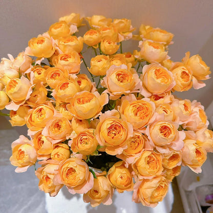 Potted Four Seasons Rose Juice Balcony