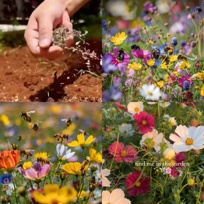 Mixed Perennial Flowers Seeds-Over 60 kinds mixed