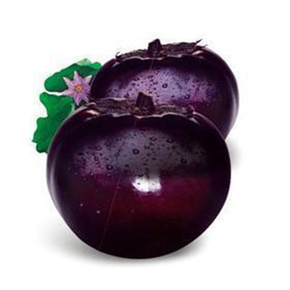 Beijing eggplant round organic vegetable eggplant seeds 100seed