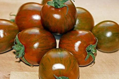 Rare Organic Vegetable Tomato Seeds "Black Zebra" (Lycopersicon esculentum Mill)