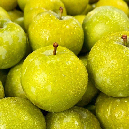 Yellow Plum Seeds Sugar Plum