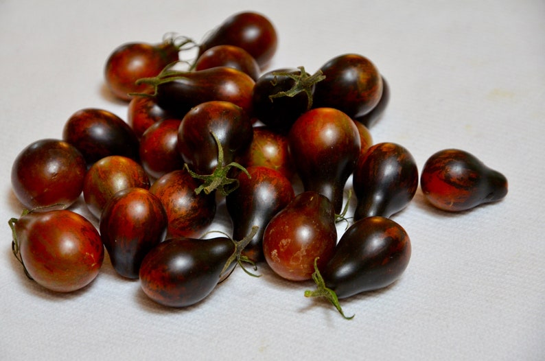 Blue Keyes Tomato Seeds • Dark Anthocyanin Pear Cherry • Open Pollinated • Modern Variety