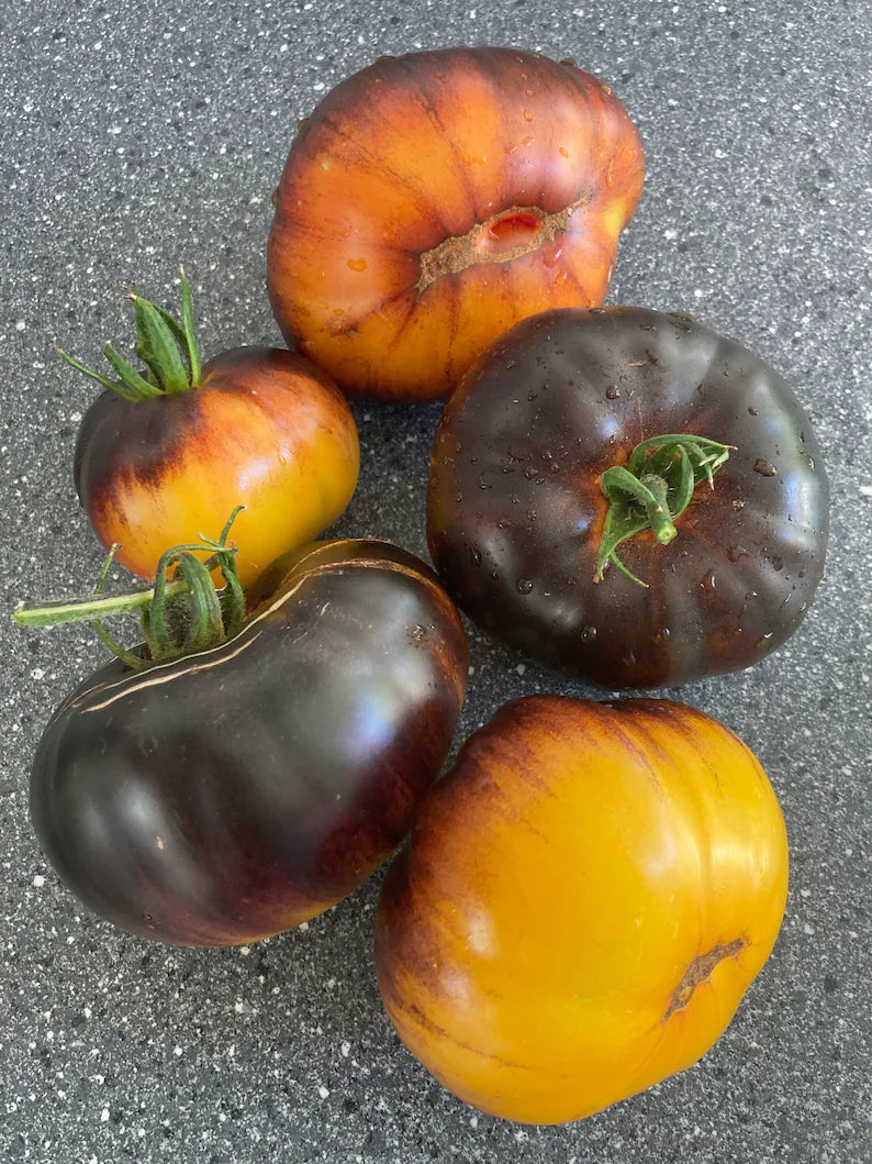 Lucid Gem Tomato Seeds Organic, Heirloom Tomatoes