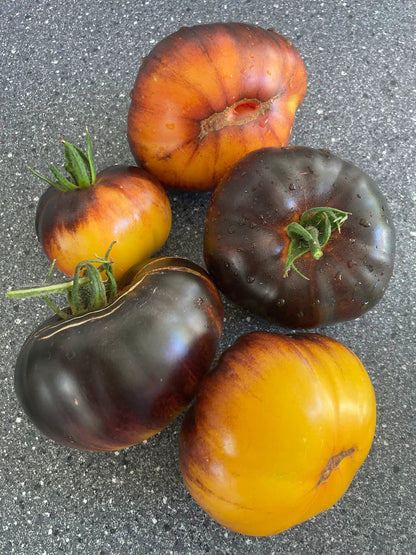Lucid Gem Tomato Seeds Organic, Heirloom Tomatoes