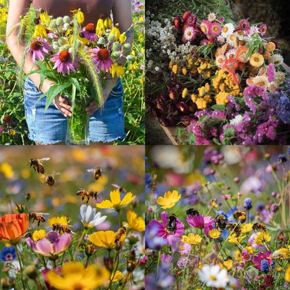 Mixed Perennial Flowers Seeds-Over 60 kinds mixed