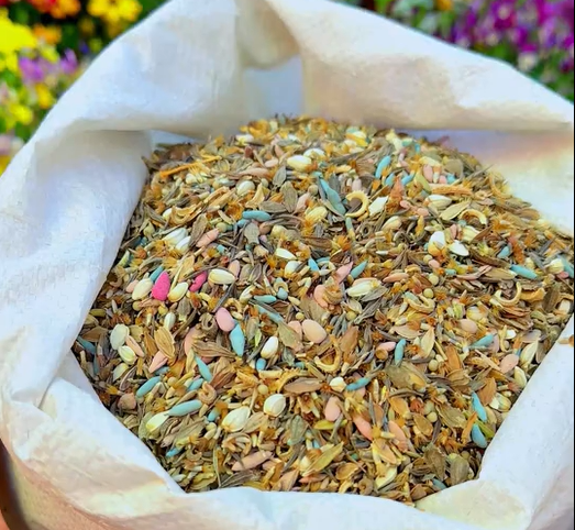 All Perennial Wildflower Seed Mix - Rainbow Garden